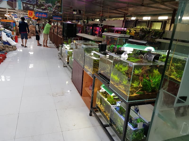 Hình ảnh Trại Sinh Vật Cảnh - 3
