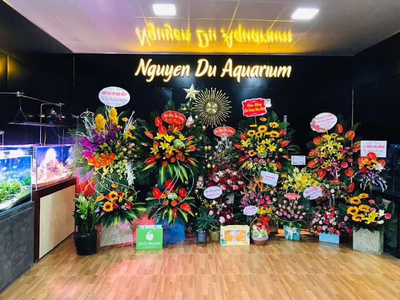 Hình ảnh Nguyễn Du Aquarium - 6