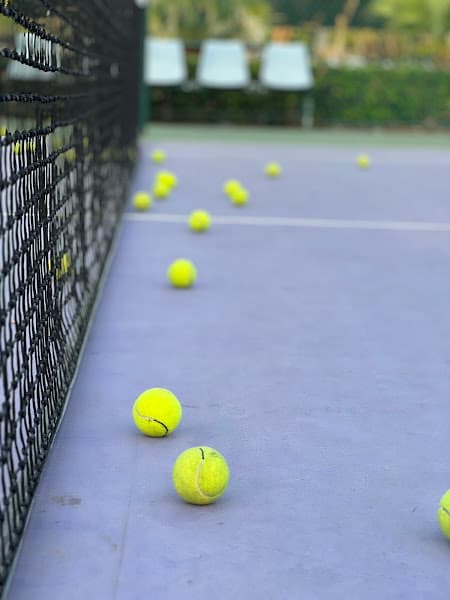 Hình ảnh Dat Phat Sports - Tennis for Expats in Da Nang - 4