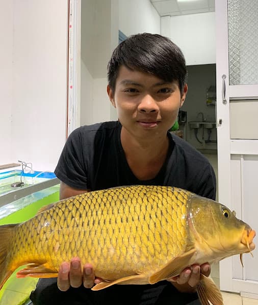 Hình ảnh Đồ cấu vàLK HÒA - 4