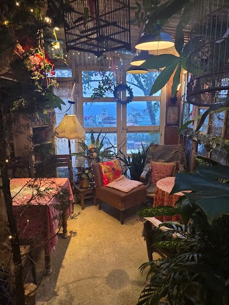 Hình ảnh Dưới Tán Thông Già Coffee House - 2