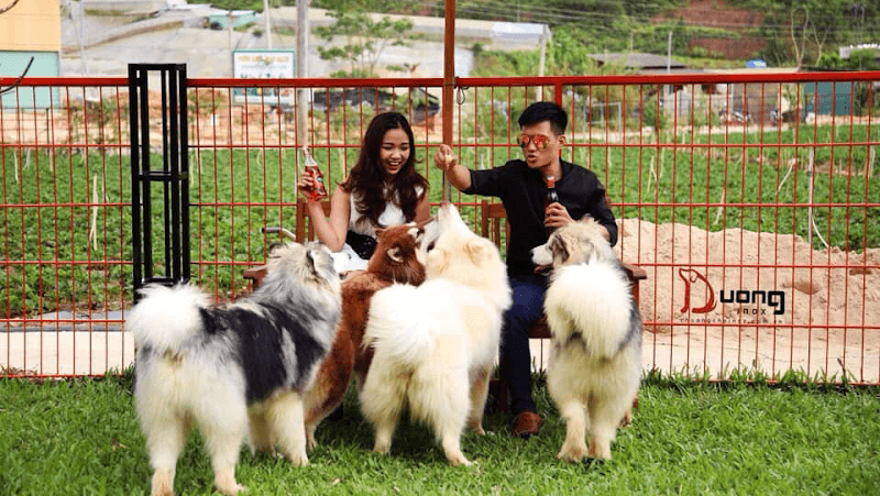 Hình ảnh Nông Trại Cún Puppy Farm - 5