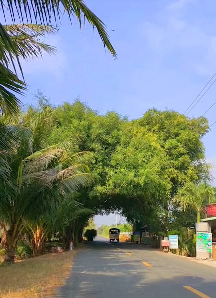 Hình ảnh Đặc sản Bến Tre - 3