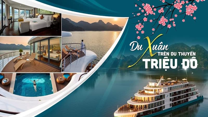 Ảnh bìa Halong CapellaCruise (Member of Lyra Cruise Collection)