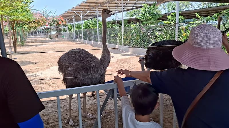 Hình ảnh ZooDoo Phan Rang - Zoo & Cafe - 4