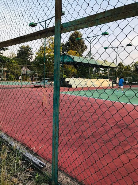 Hình ảnh Sân Tennis Thế kỷ - 3