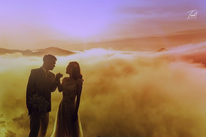 Hình ảnh TuArt Wedding Đà Lạt - Studio chụp ảnh cưới đẹp nhất tại Đà Lạt, Lâm Đồng - 7