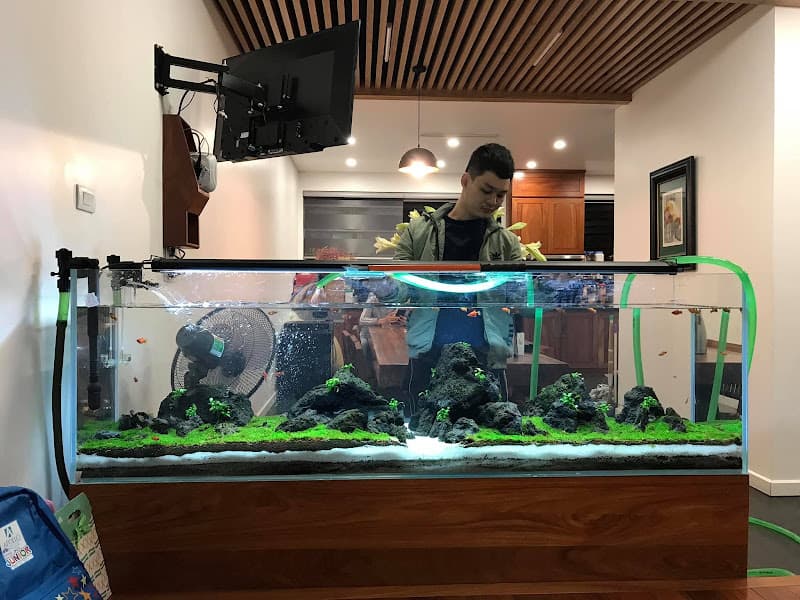 Hình ảnh Nguyễn Du Aquarium - 2