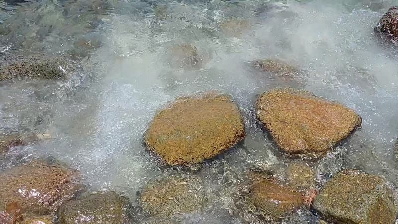 Hình ảnh Khu bảo tồn biển Hòn Mun - 5