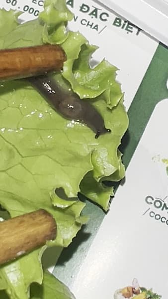 Hình ảnh Bún Chả Quạt - Đậm đà Hà Nội - 4