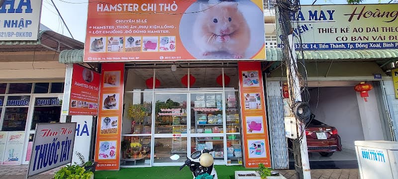 Ảnh bìa Chuột Hamster Chị Thỏ