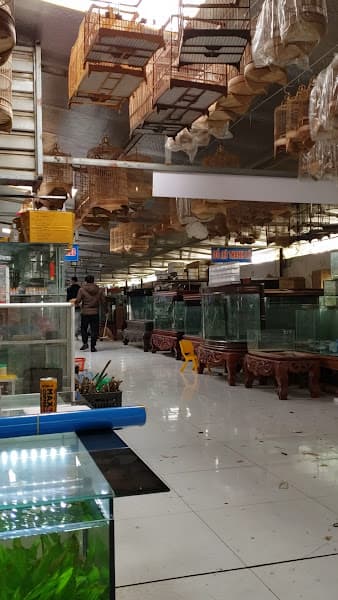 Hình ảnh Trại Sinh Vật Cảnh - 4
