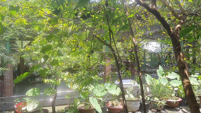 Hình ảnh Quán gà nướng Bảy Đực - 4