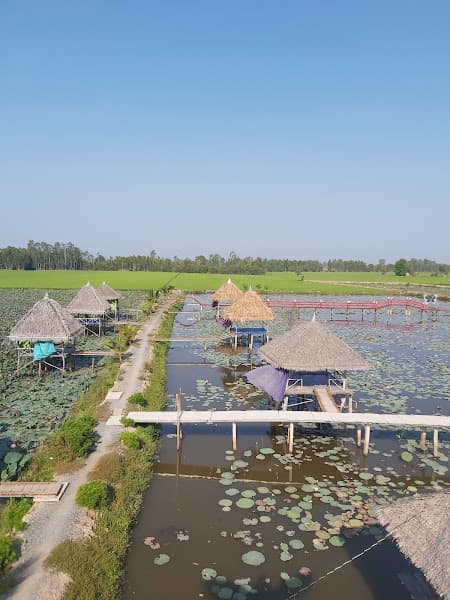 Hình ảnh Khu Du Lịch Sinh Thái Sen Hồng - 2