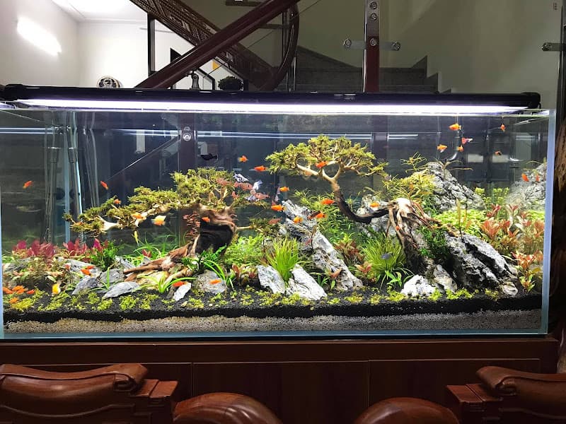 Hình ảnh Nguyễn Du Aquarium - 5