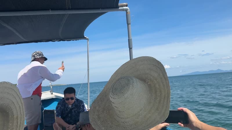 Hình ảnh Hòn Chùa - 2