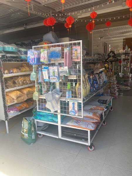 Hình ảnh Moi Petshop Đà Lạt - 4