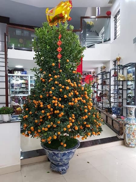 Hình ảnh Shop Liễu Bóng bàn - 3