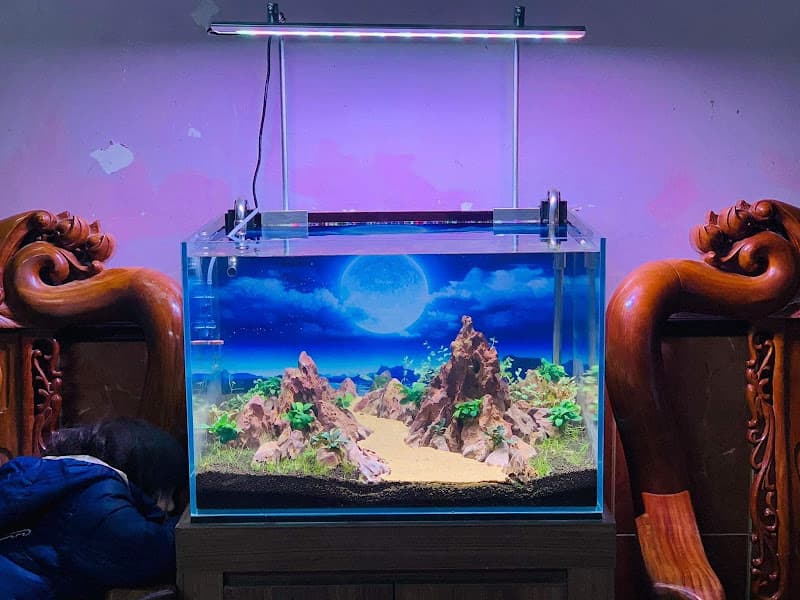 Hình ảnh Nguyễn Du Aquarium - 3