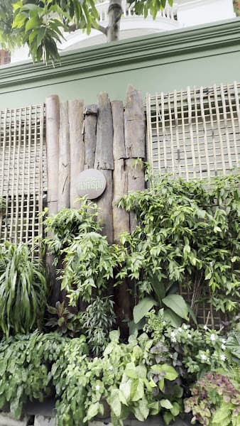Hình ảnh NẤM SPA - 4