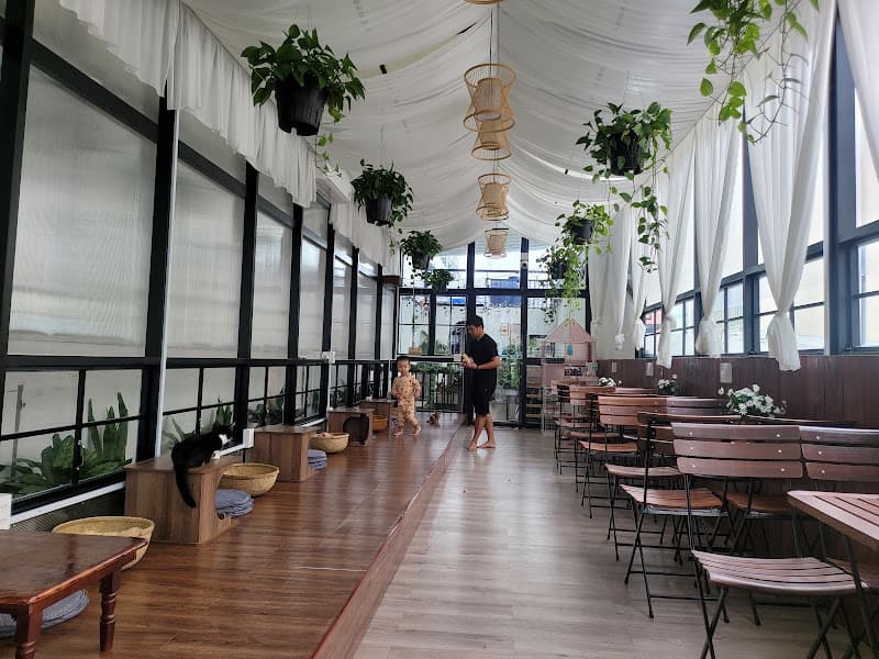 Hình ảnh Anh coffee - 2