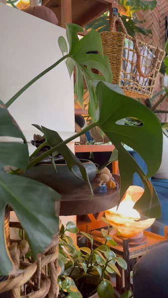 Hình ảnh Spa LE QUY - Spa Đà Lạt - 4