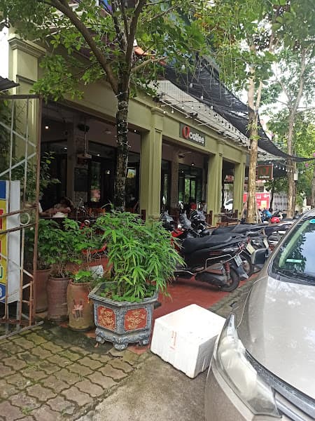 Hình ảnh Tẩm Quất - Giác Hơi Người Mù .Duy Thực - 4