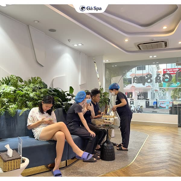 Hình ảnh Gà Spa Cần Thơ - 4