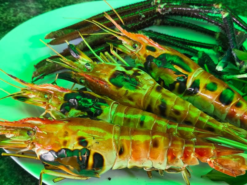 Hình ảnh Ẩm Thực Phương Đông - 5