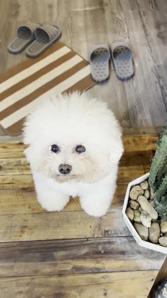 Hình ảnh Giang Gia Viên - 4