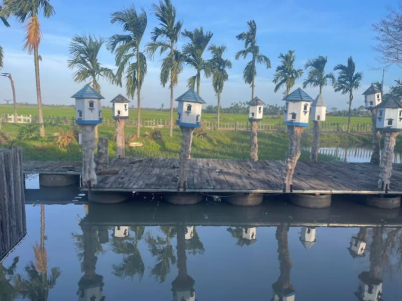 Hình ảnh BỒ CÂU FARM - 2