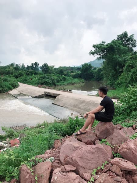 Hình ảnh Cây Đa Năm Chân - 3