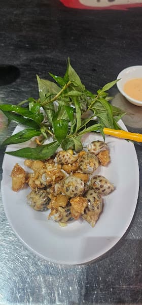 Hình ảnh Ốc Ý My 30K - 2