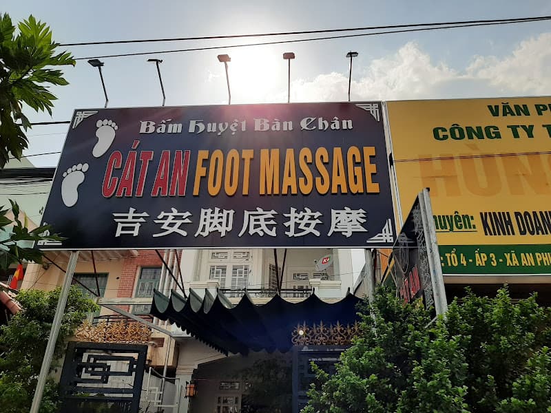 Cat an foot massage