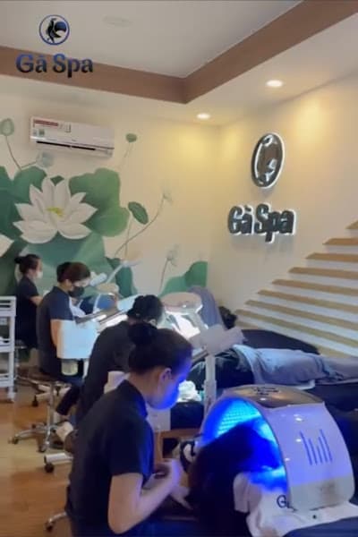 Hình ảnh Gà Spa Cần Thơ - 5