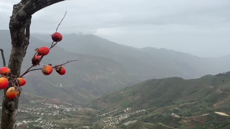 Hình ảnh Homestay-Nhà hàng-Coffee Gió Bản Tà Xùa - 4