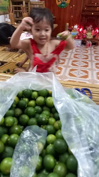 Hình ảnh bún đậu mắm tôm NGHÉ Ọ QUÁN - 3