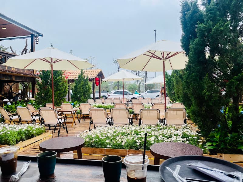 Ảnh bìa Tiệm Cà Phê Ngày Có Nắng
