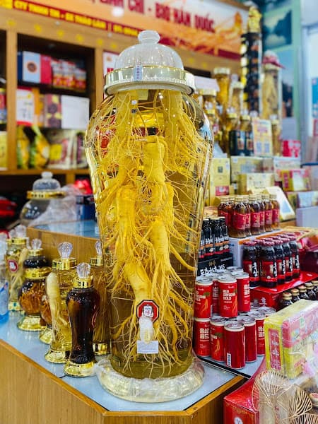 Hình ảnh Nhân Sâm Thảo Lâm Coopmart Trà Vinh - 3