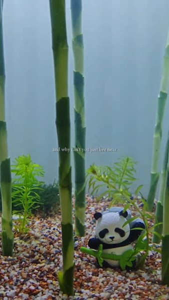Hình ảnh Ý Là Cafe Roastery - 2