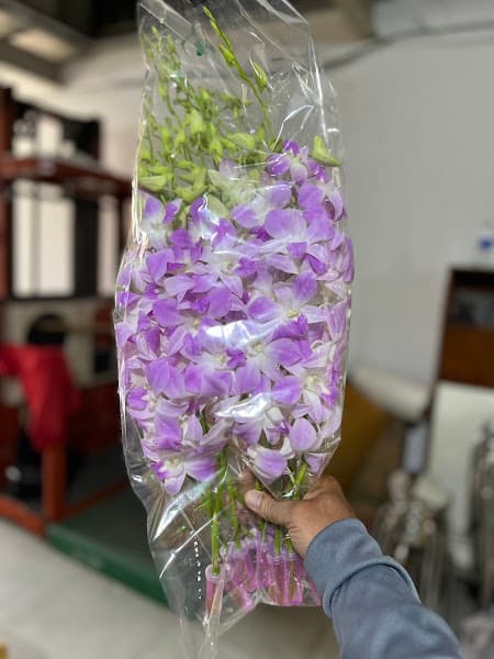 Ảnh bìa Gỏi đu đủ thái lan