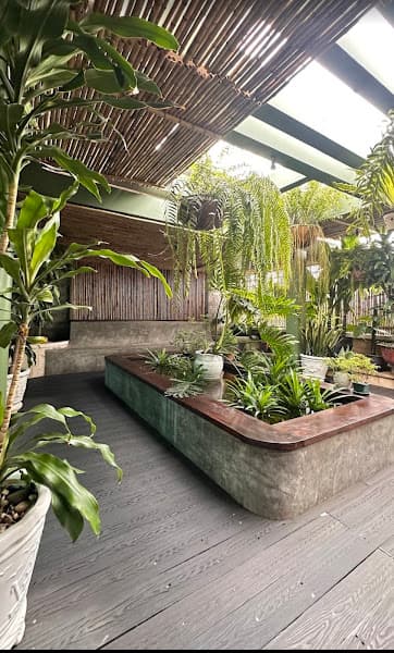 Hình ảnh NẤM SPA - 2