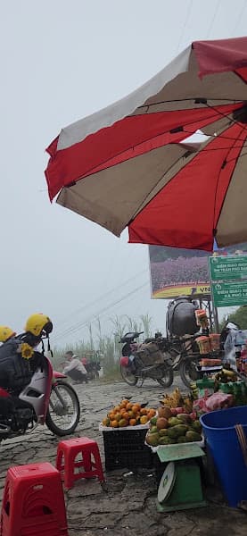 Hình ảnh Thịt xiên nướng - 4