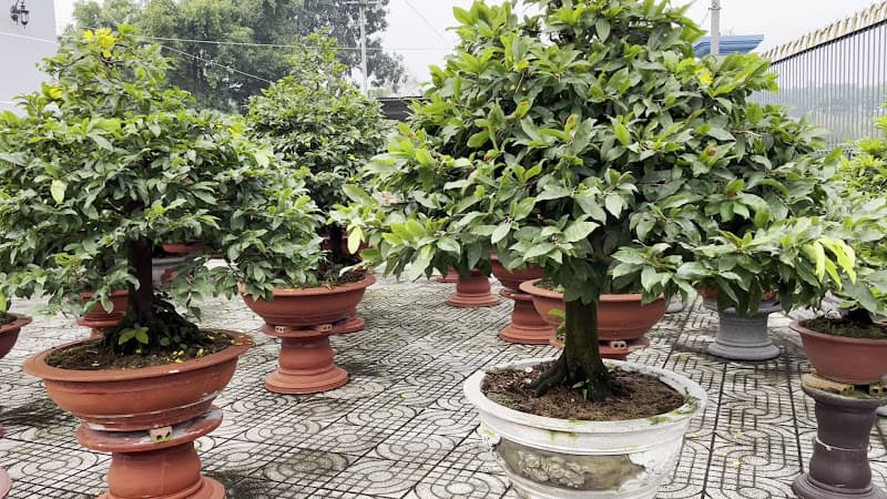 Hình ảnh Bún đậu mắm tôm Thằng Bờm - CN Hiệp Phước - 6