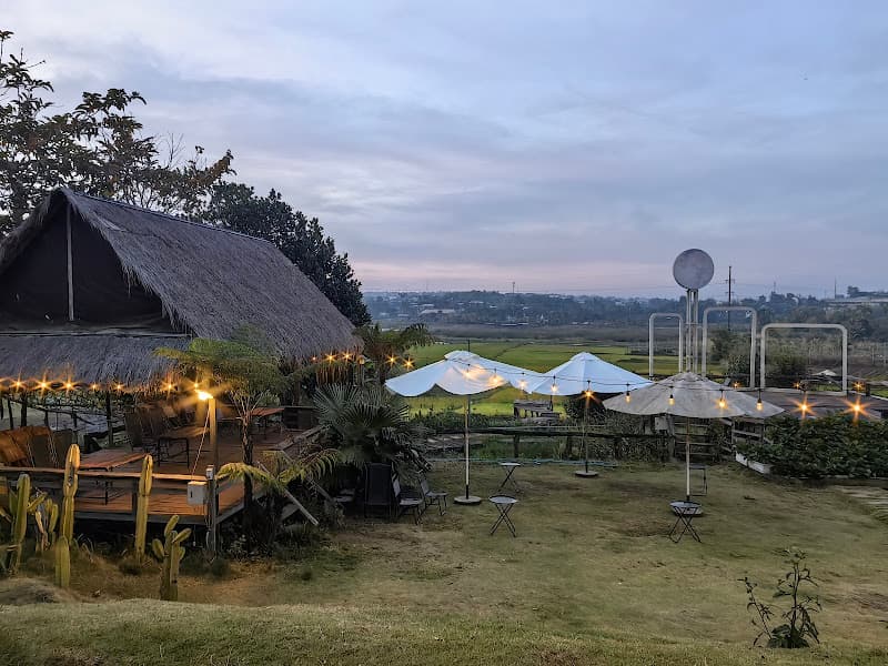 Hình ảnh Thông Farm & Bistro - 3