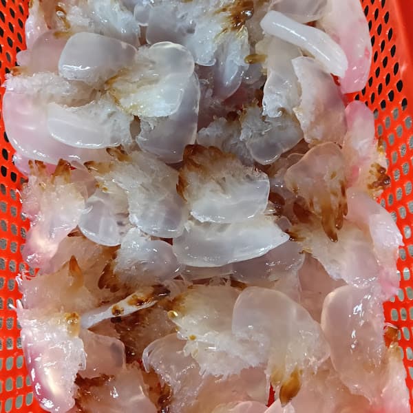 Hình ảnh Cơ sở chế biến sứa biển lan cường - 2