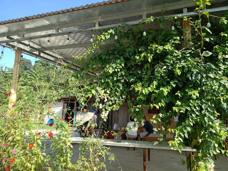Hình ảnh Hoàng Hà Homestay - 2
