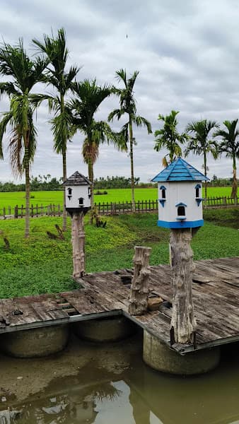 Hình ảnh BỒ CÂU FARM - 5