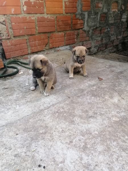 Hình ảnh Bánh tráng cô Thúy - 2