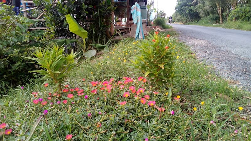 Hình ảnh Quán Nước Mía Cô 5 - 3